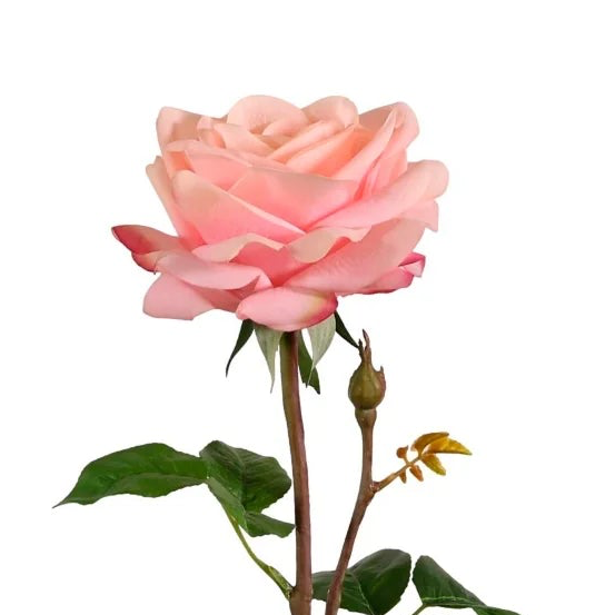 Real Touch Superior Rose Stem /Pale Pink