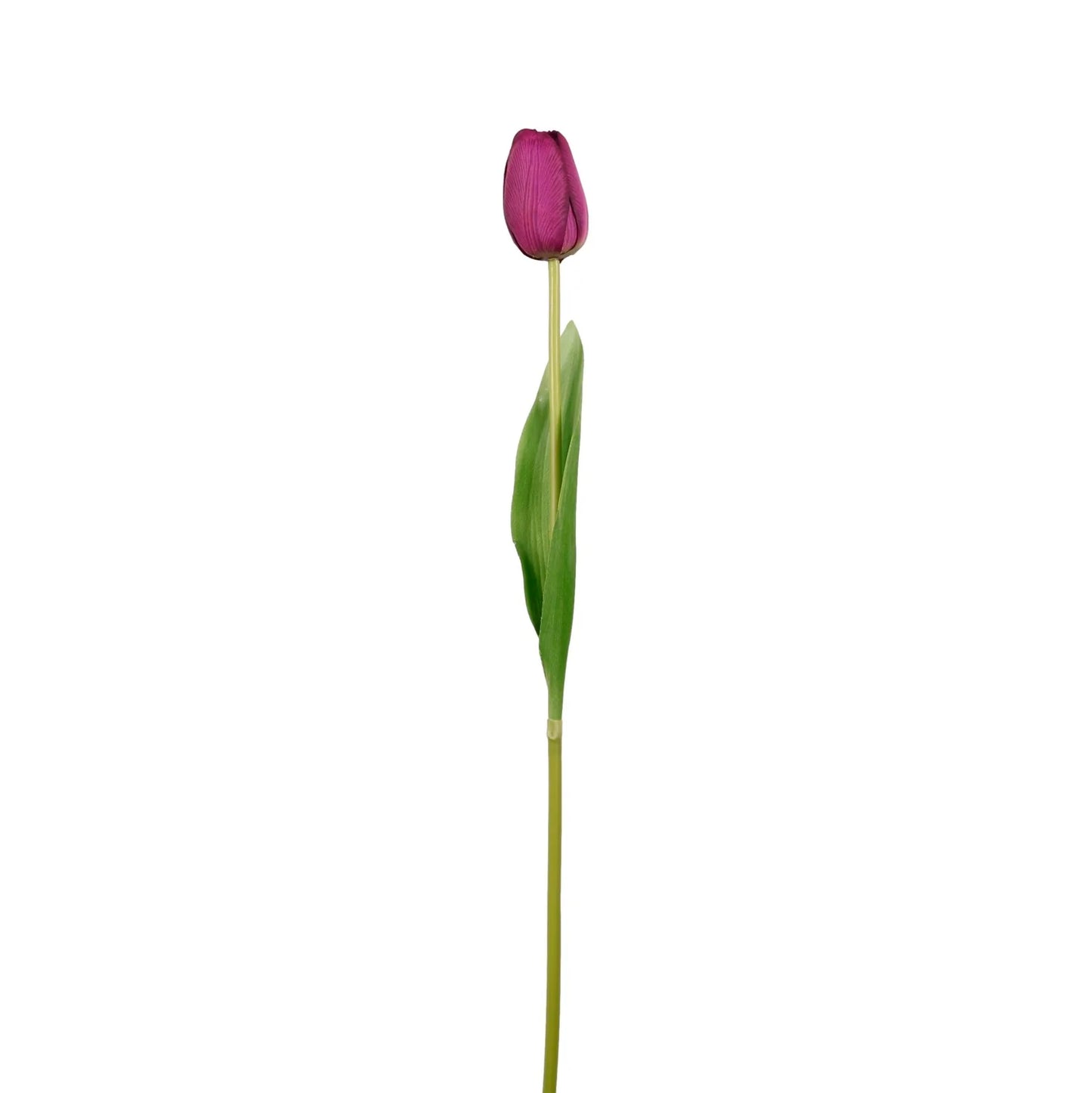 Real Touch Tulip Stem /Purple