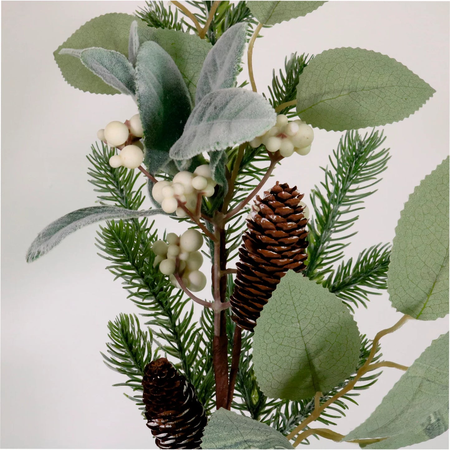 Premium winter berry