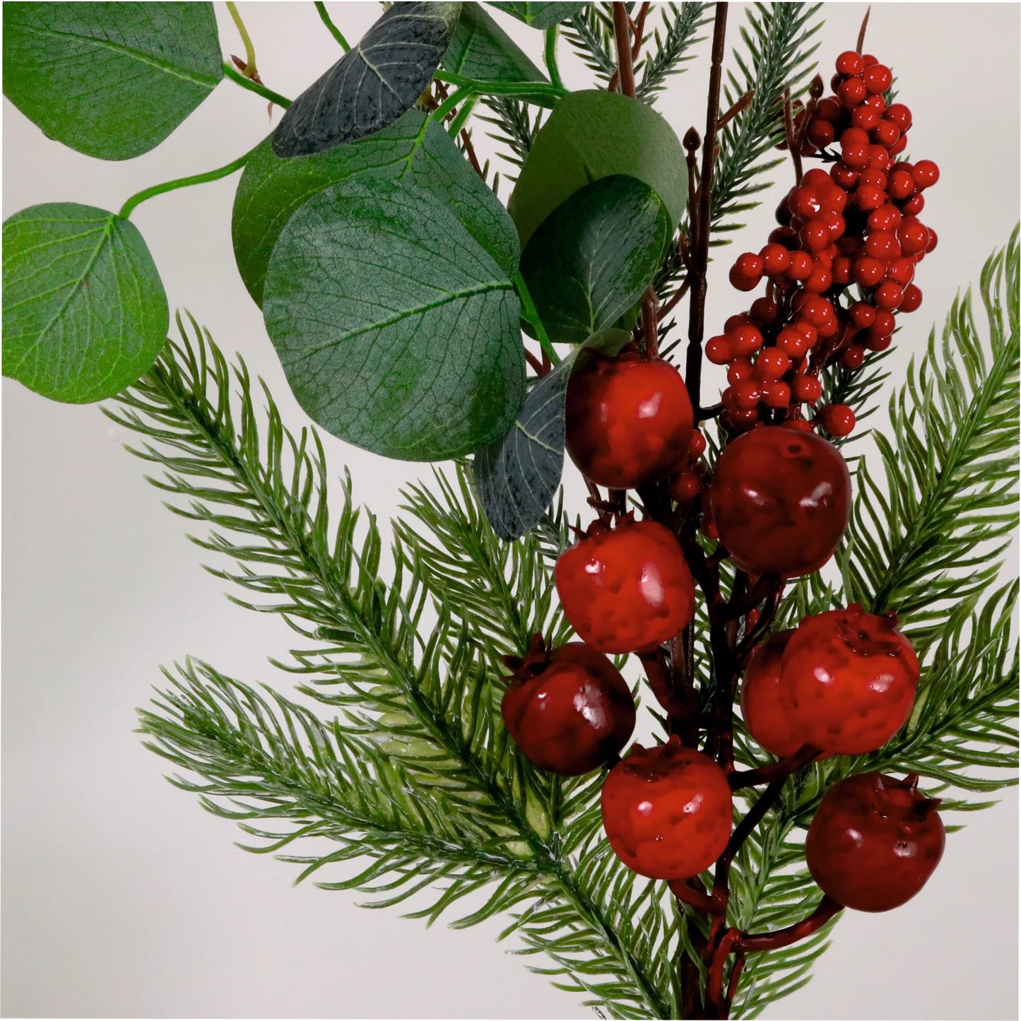 Premium winter berry pick Red