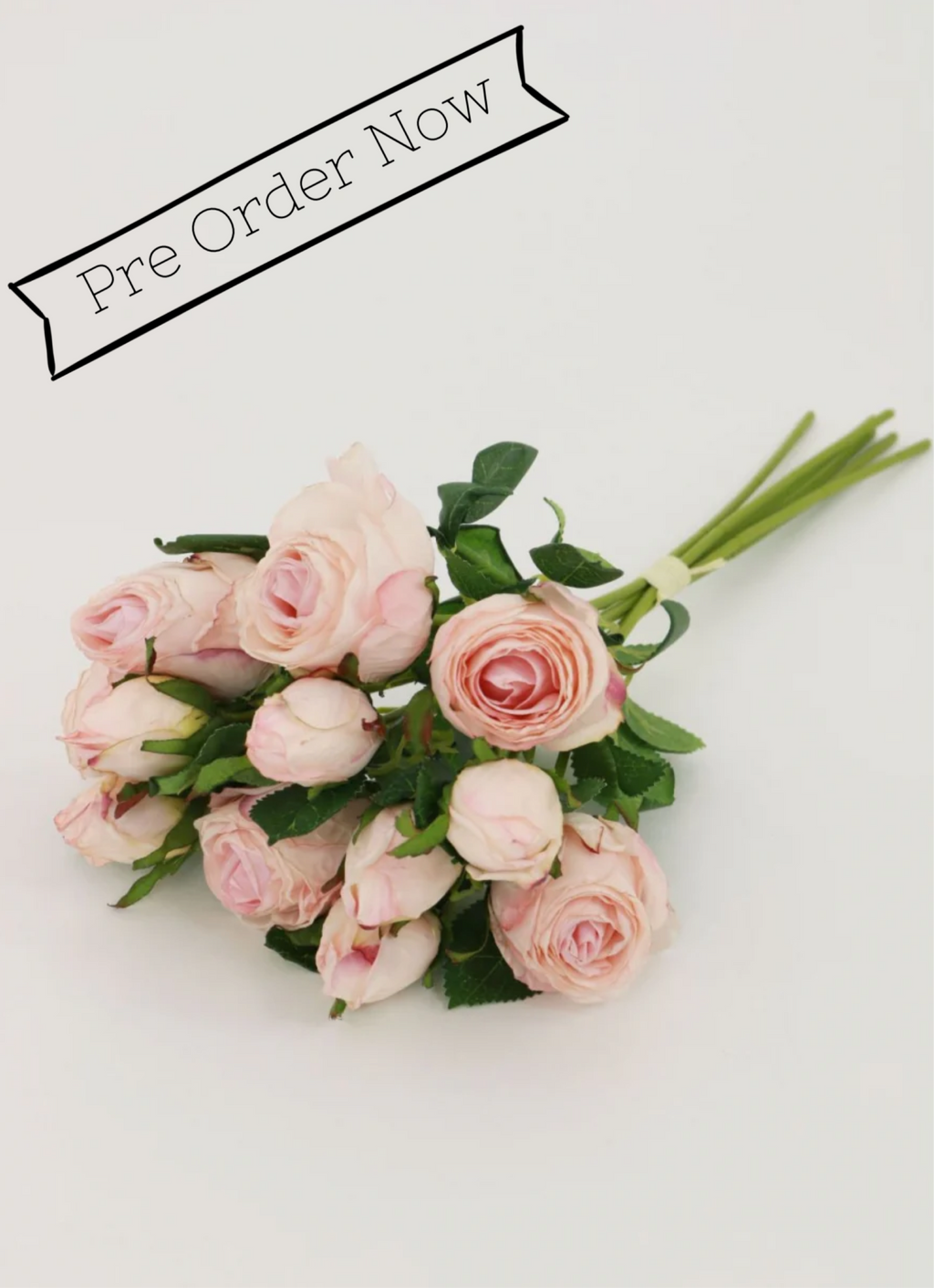 Dried Touch Ruby Rose Bundle (6x Stems)