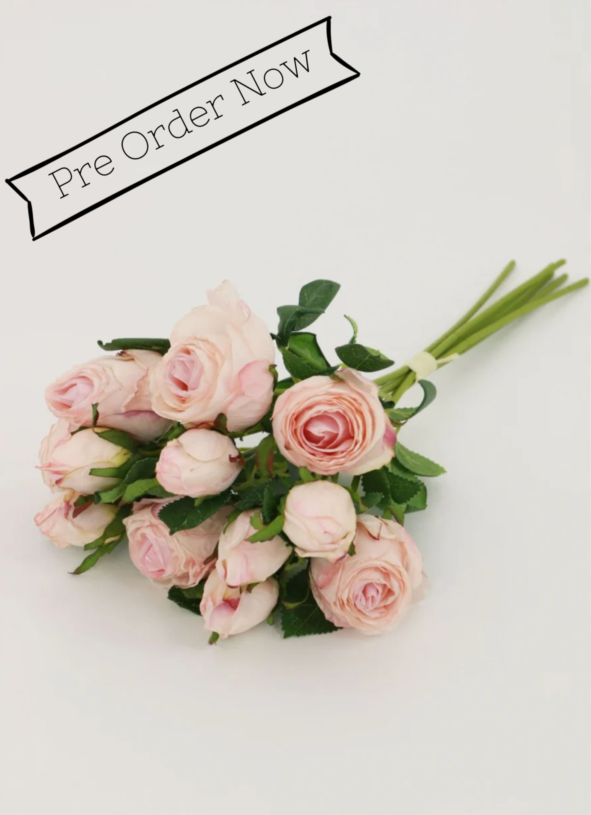 Dried Touch Ruby Rose Bundle (6x Stems)