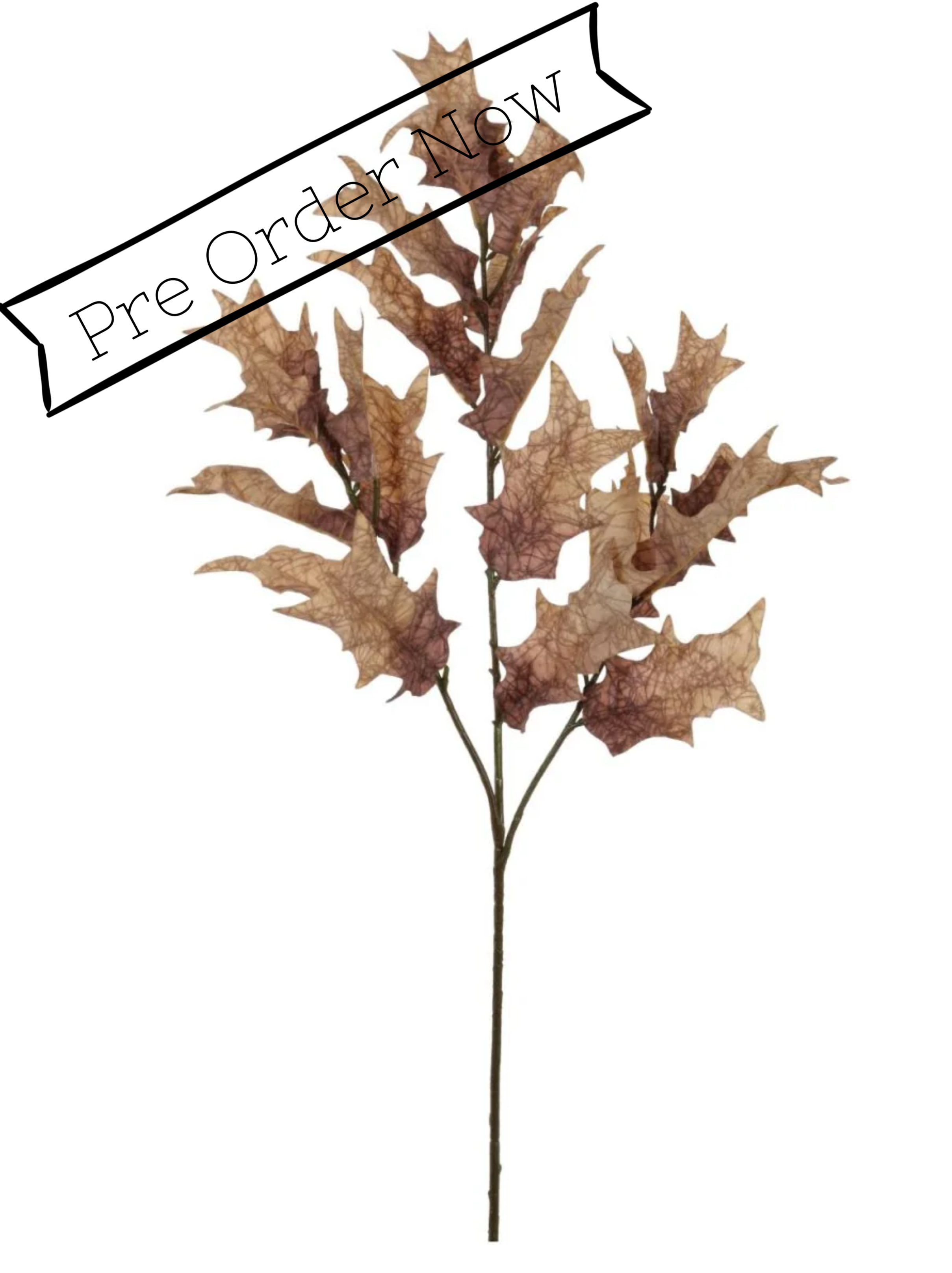 Dried winter branch