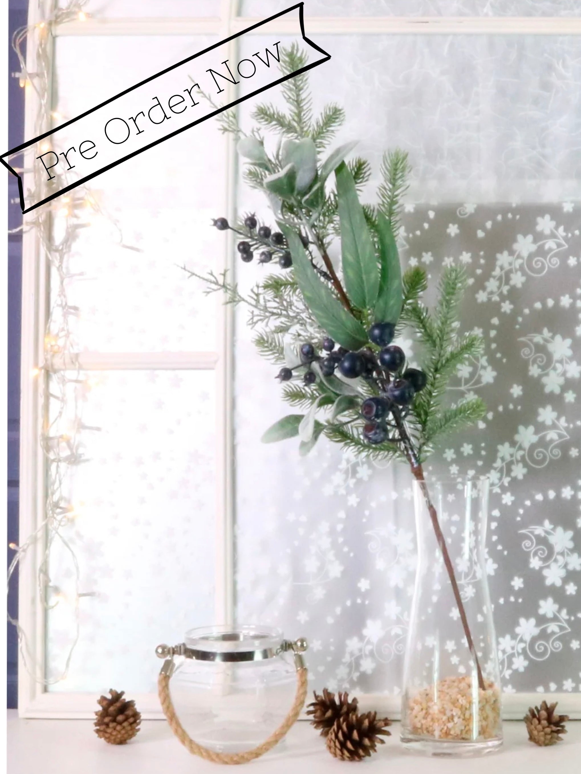 Premium winter blueberry pick