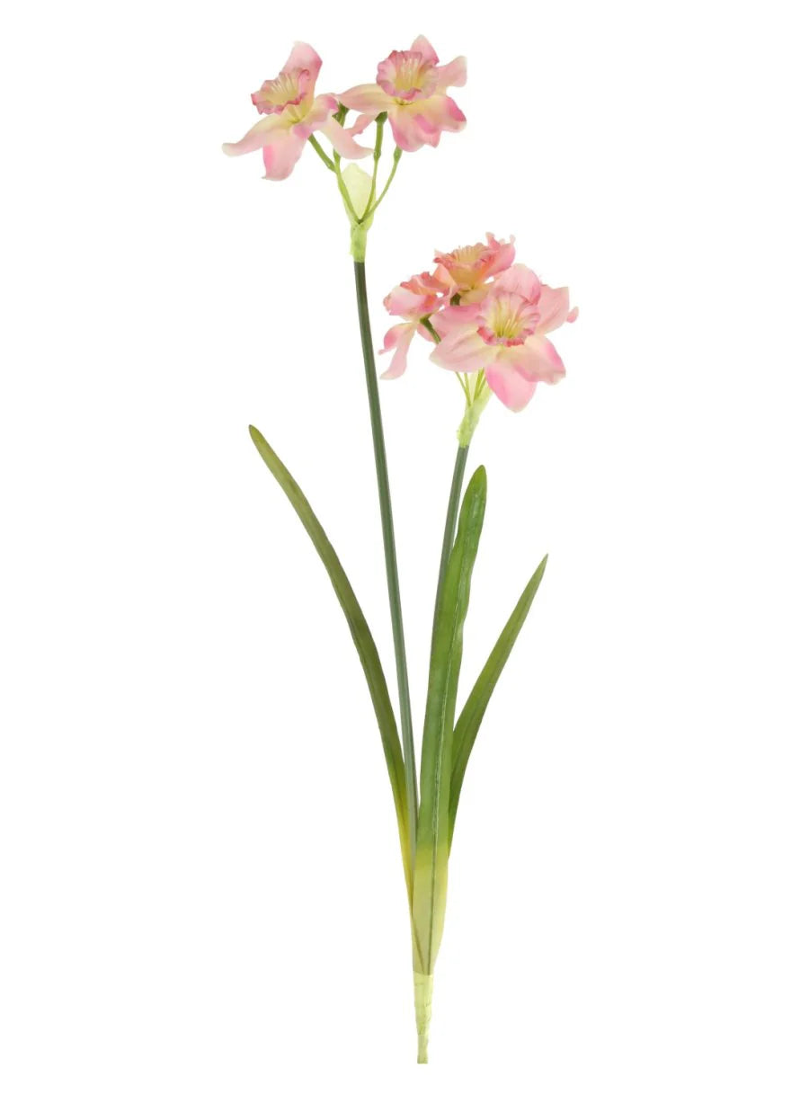 Ruffled Daffodil Spray /Pink
