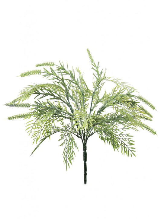 Tassel Fern Bunch (dusted)
