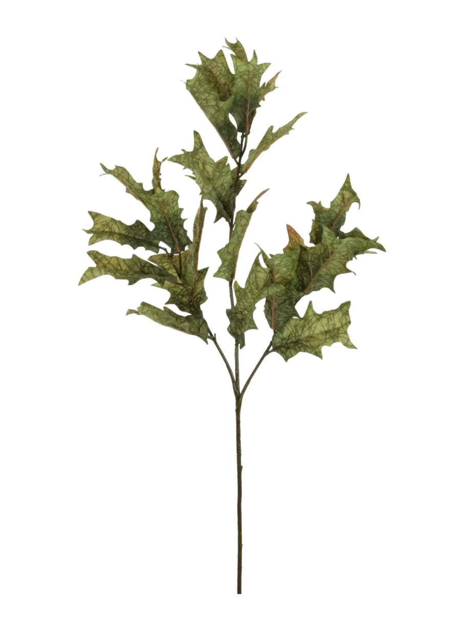 Dried winter branch