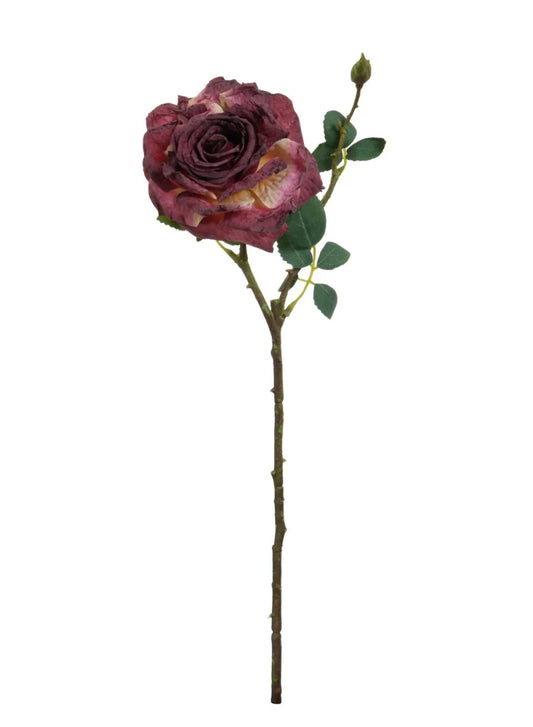 Dried Touch Marisa Rose Stem