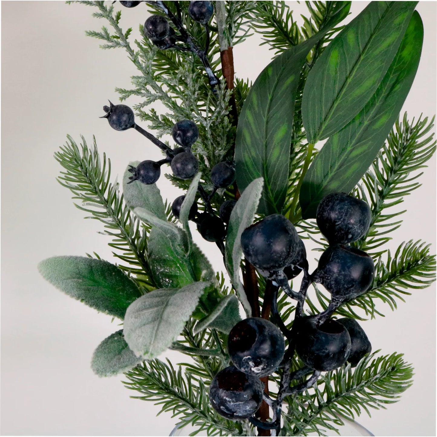 Premium winter blueberry pick