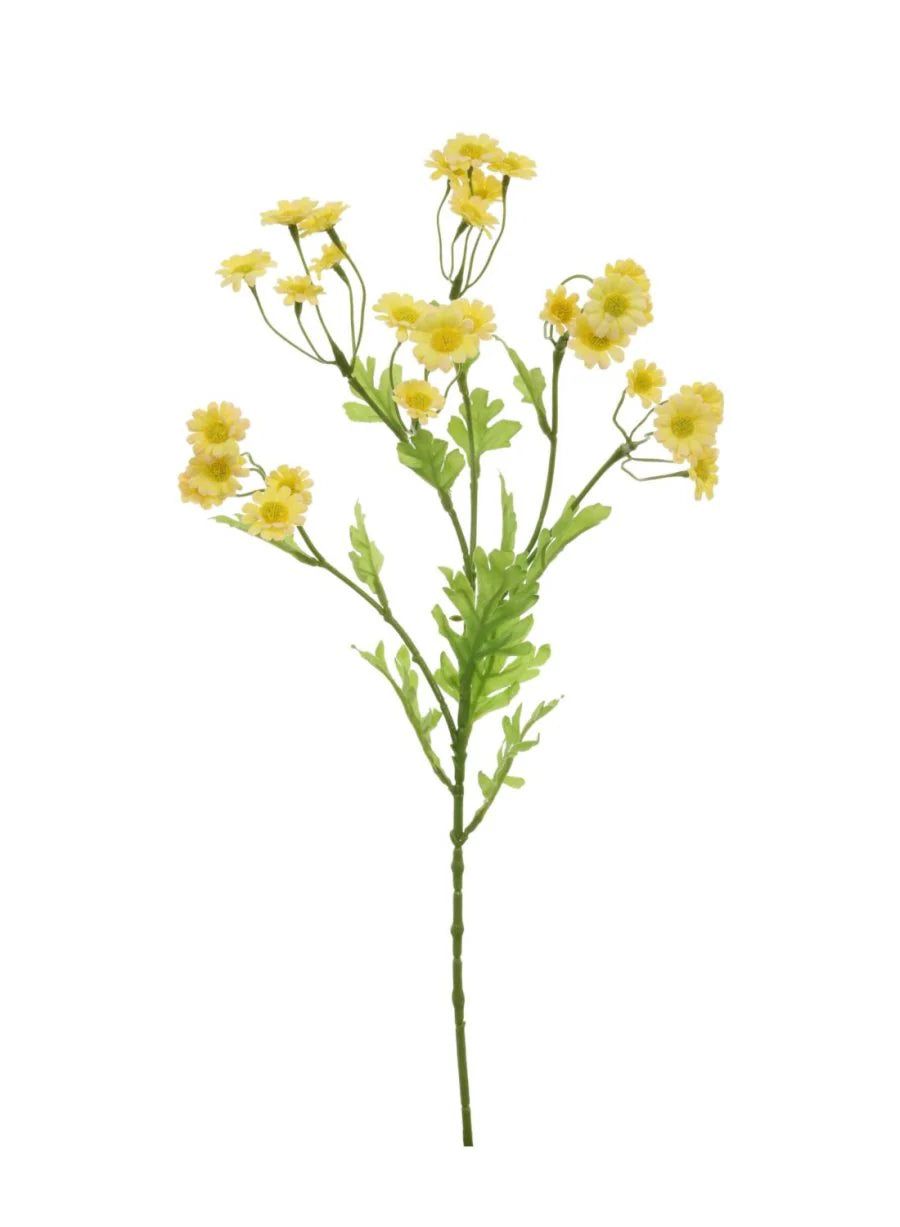 Wild Mini Daisy Spray /Butter yellow