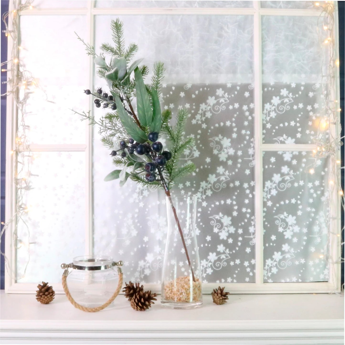 Premium winter blueberry pick