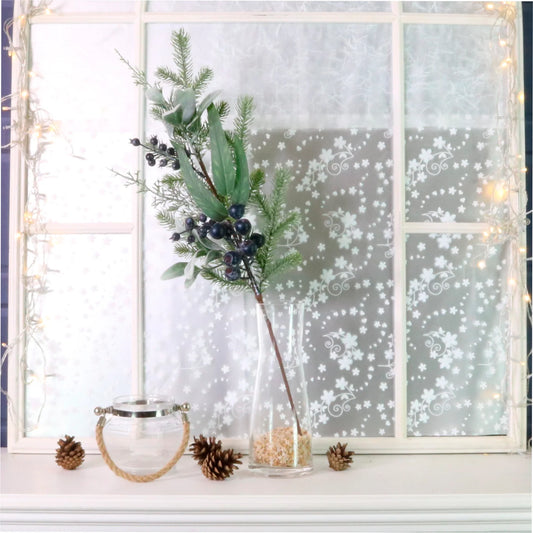 Premium winter blueberry pick