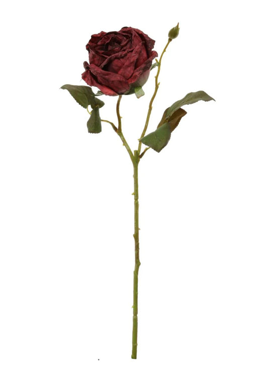 Dried Touch Single Valera Rose / Red